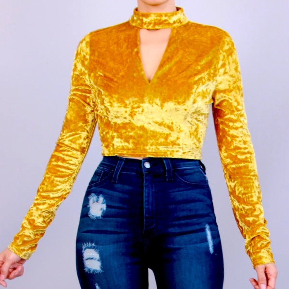 Velvet crop top